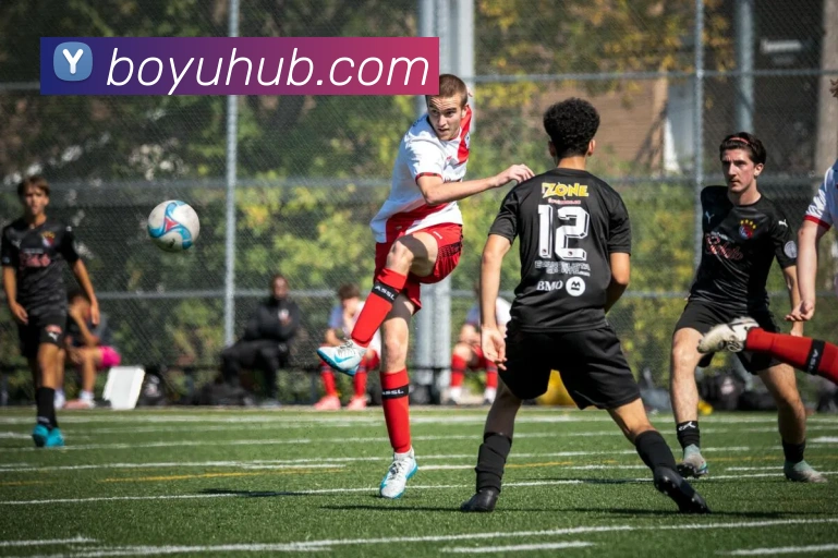 博鱼体育APP 封面图