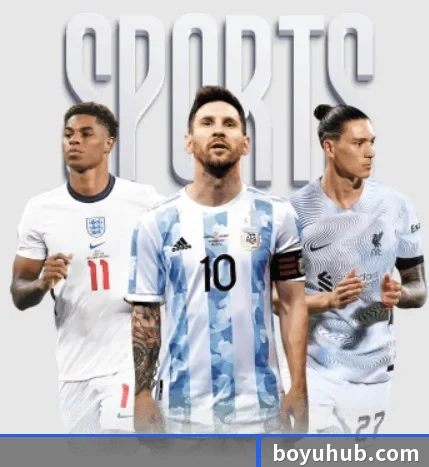 博鱼体育 APP(BOYUSPORTS)