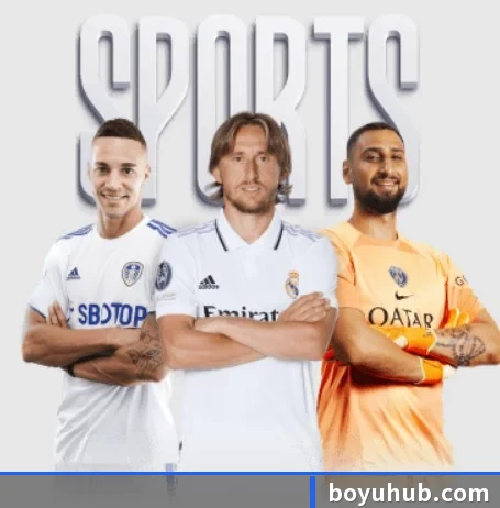 博鱼体育 APP 界面 | BOYUSPORTS