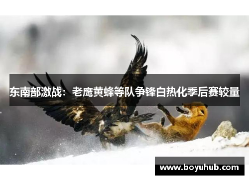 东南部激战：老鹰黄蜂等队争锋白热化季后赛较量