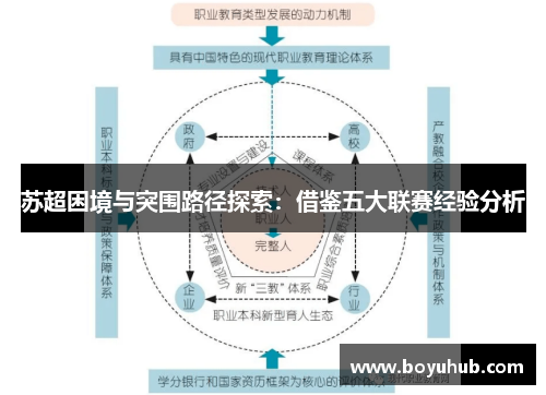 苏超困境与突围路径探索：借鉴五大联赛经验分析