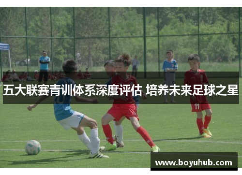 五大联赛青训体系深度评估 培养未来足球之星