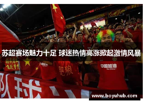 苏超赛场魅力十足 球迷热情高涨掀起激情风暴